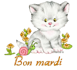 cute cat 1990